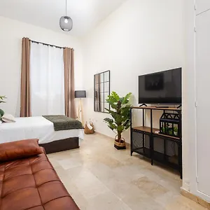 Central Studio Apartment Appartement
